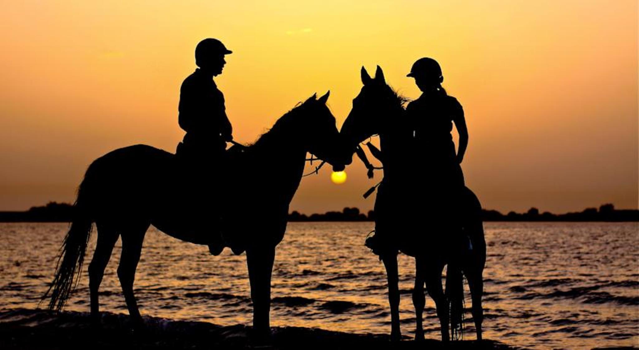 דאשה Anantara Sir Bani Yas Island Al Yamm Villa Resort מראה חיצוני תמונה
