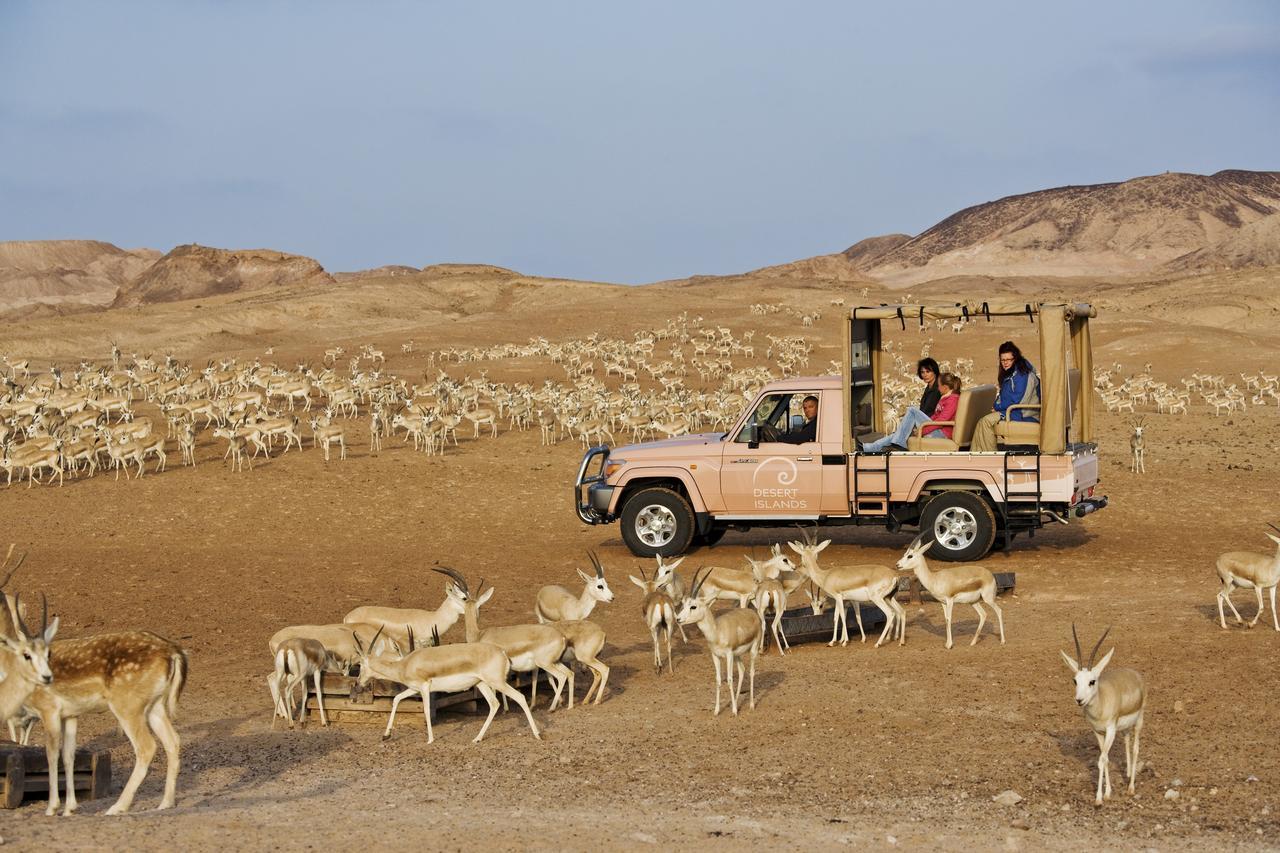 דאשה Anantara Sir Bani Yas Island Al Yamm Villa Resort מראה חיצוני תמונה